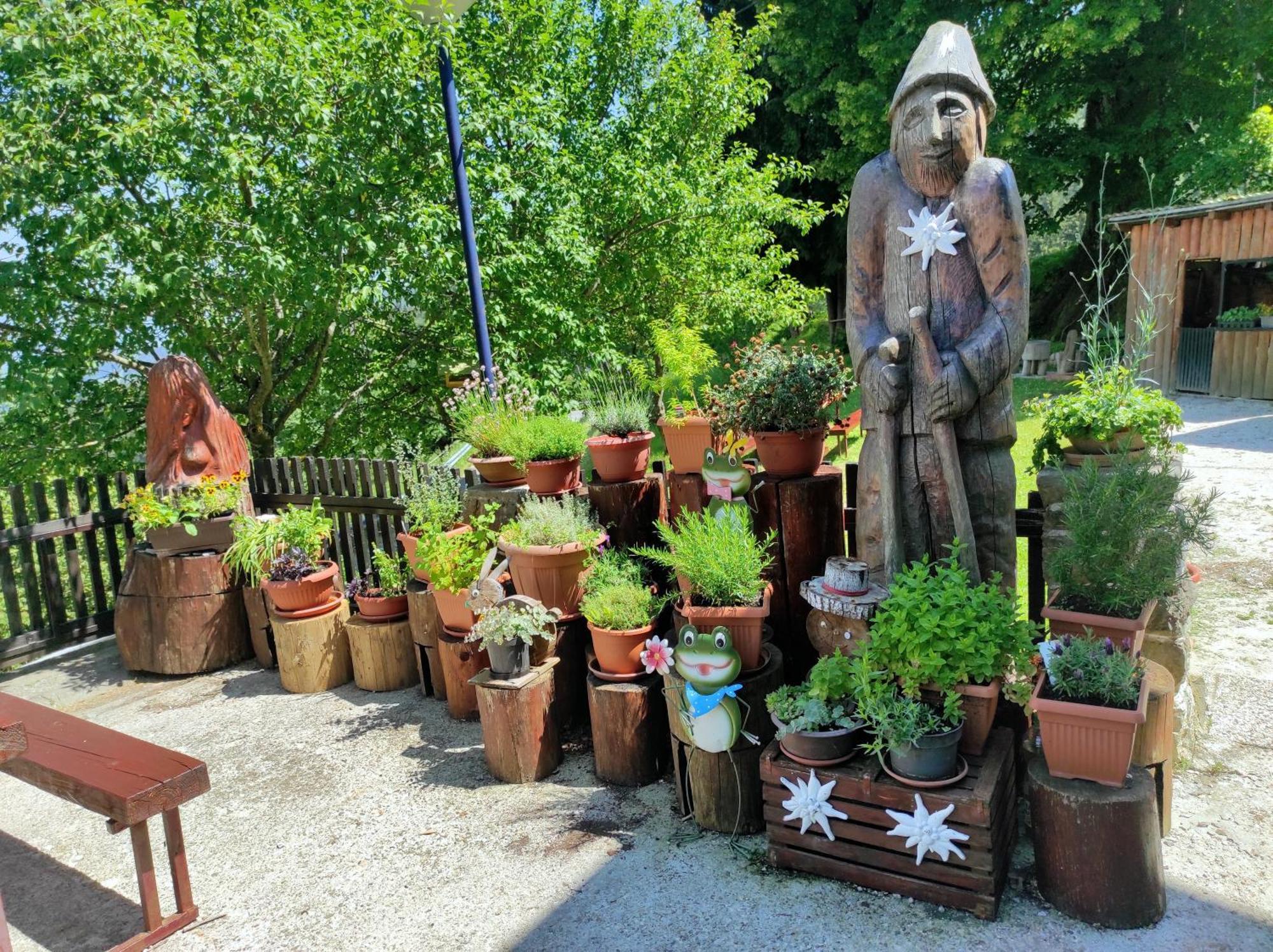 Smucarska Koca Bed & Breakfast Kotlje Екстериор снимка